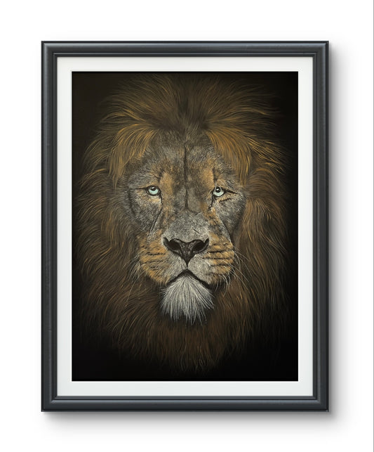 ‘Zulu’ - Limited Edition Giclee Print