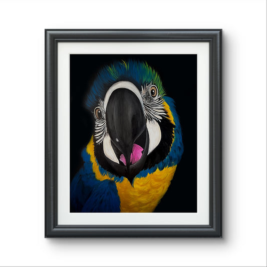 ‘Ello!’ - Limited Edition Giclee Print